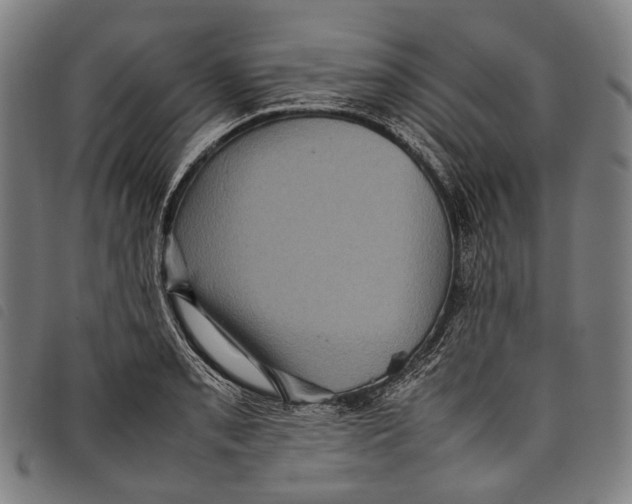 X0000097841085200804041438