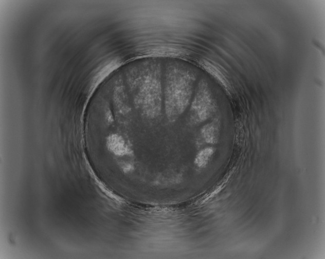 X0000097841087200804041438