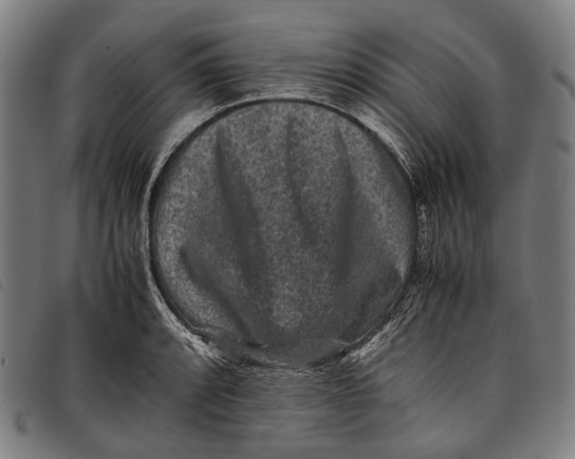 X0000097841088200804041438