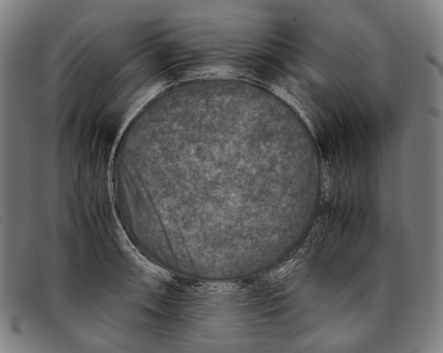 X0000097841090200804041438