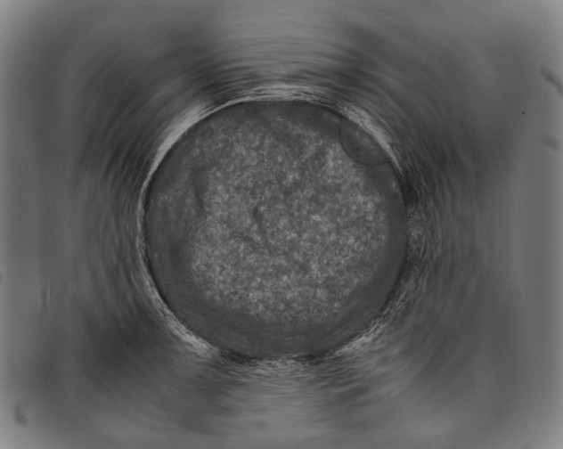 X0000097841091200804041438