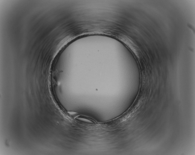 X0000097841093200804041438