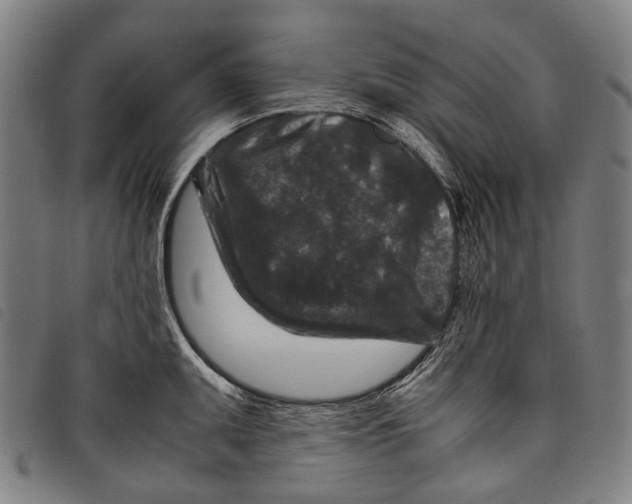 X0000097841095200804041438