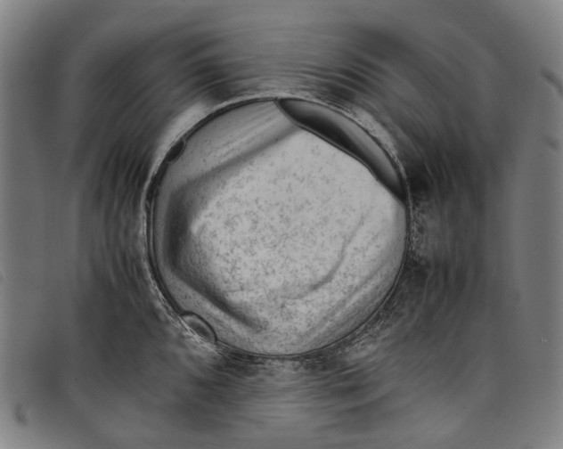 X0000097841096200804041438