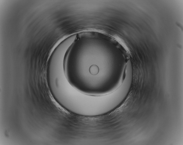 X0000097841100200804041438