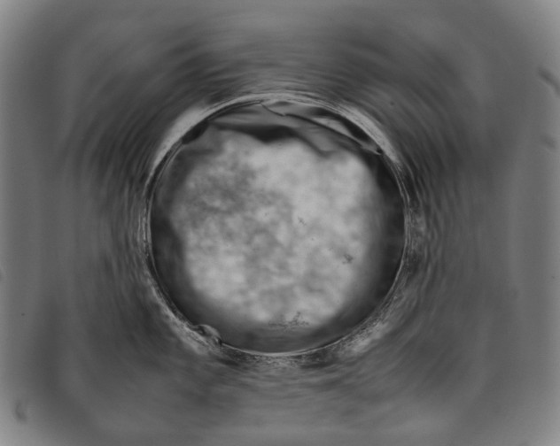 X0000097841101200804041438