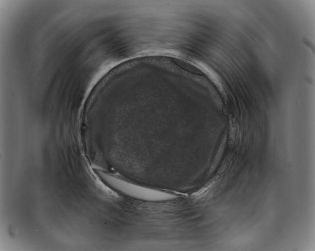X0000097841102200804041438
