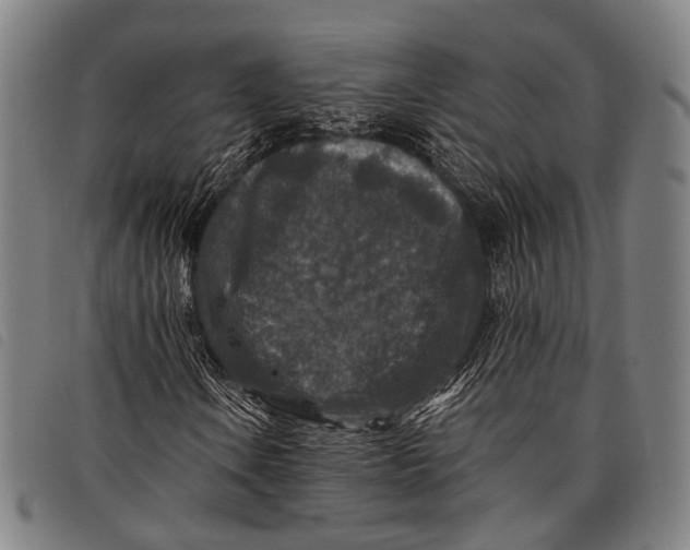 X0000097841106200804041437