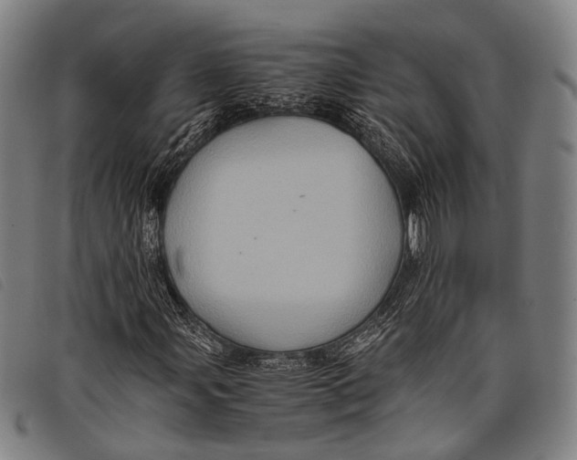 X0000097841107200804041437