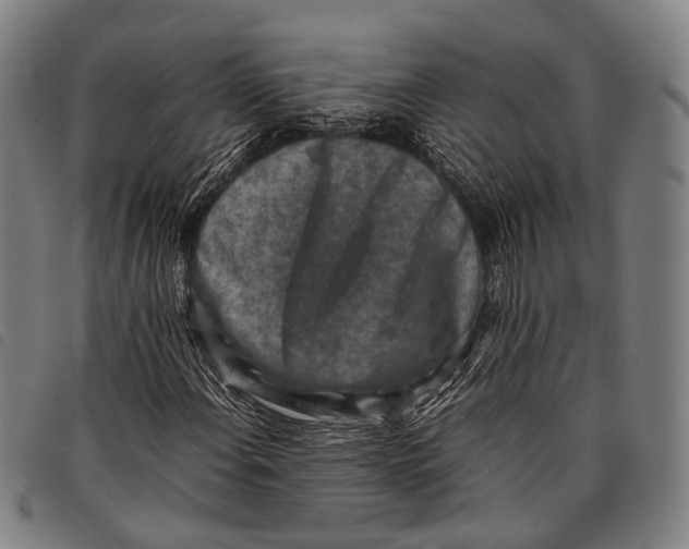 X0000097841108200804041437