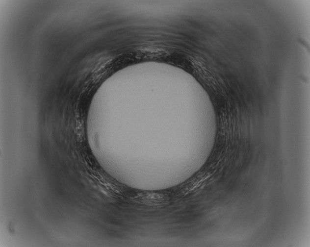 X0000097841109200804041437