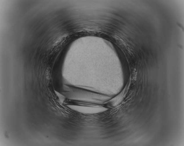 X0000097841110200804041437