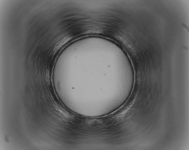 X0000097841113200804041437
