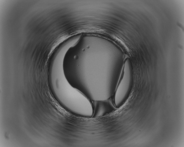 X0000097841114200804041437