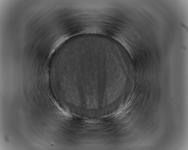 X0000097841115200804041437