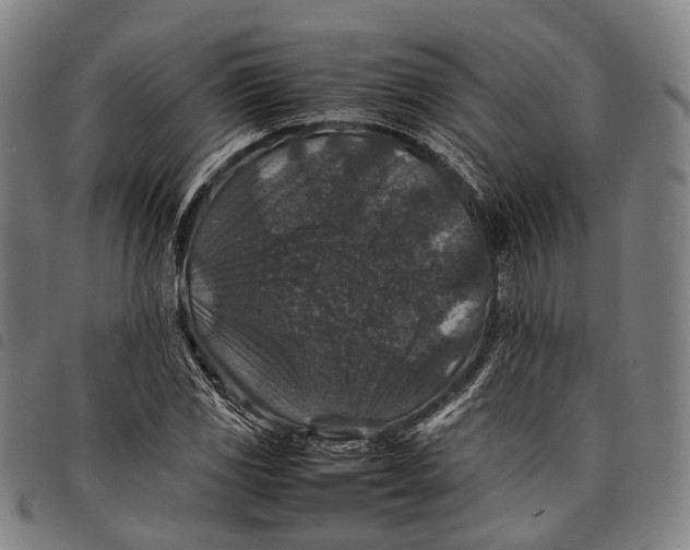X0000097841117200804041437