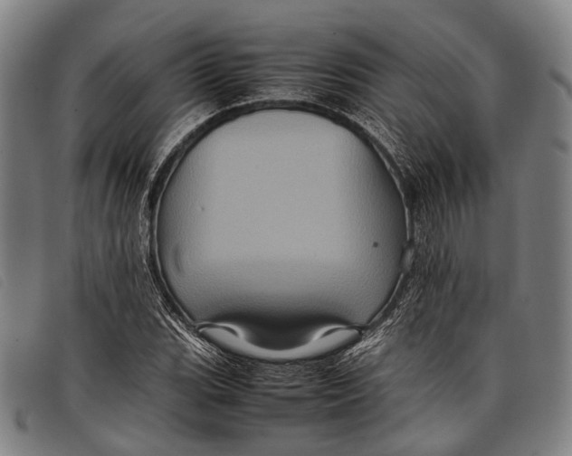 X0000097841119200804041437