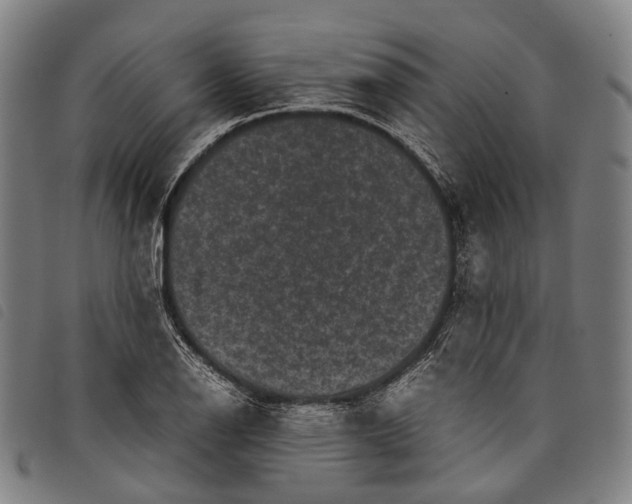X0000097841126200804041437