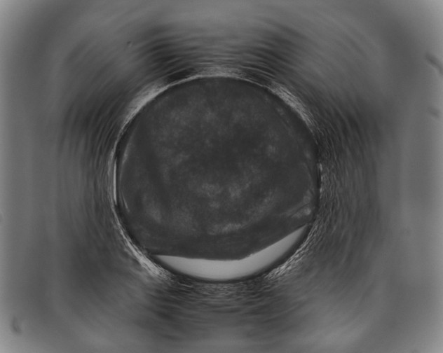 X0000097841127200804041437
