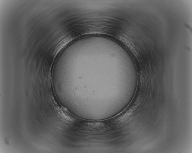 X0000097841129200804041437