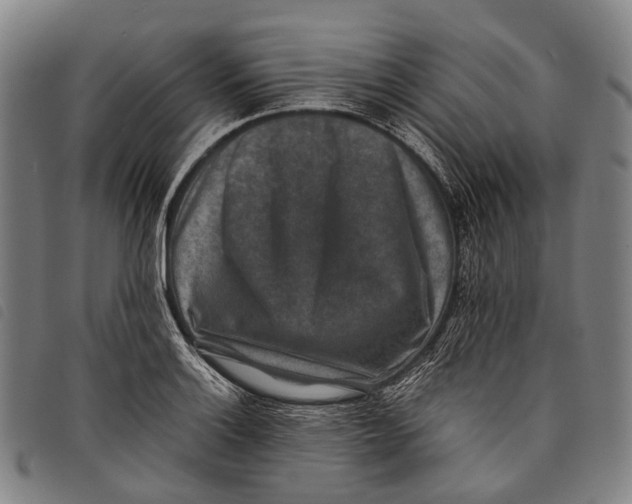 X0000097841132200804041437