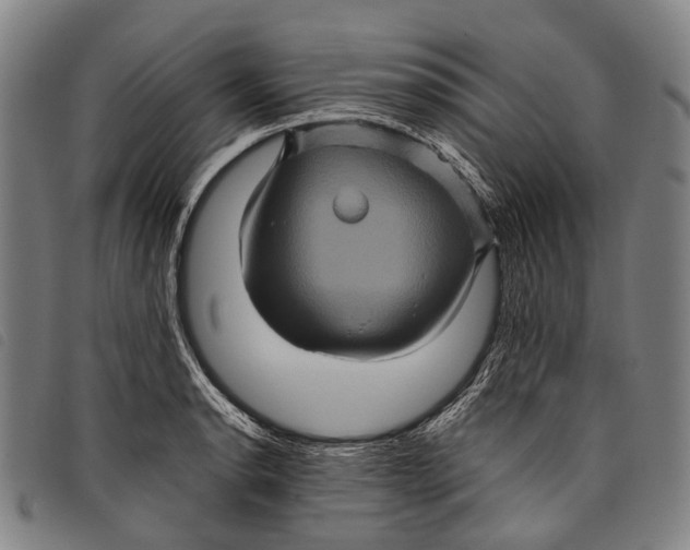 X0000097841134200804041437