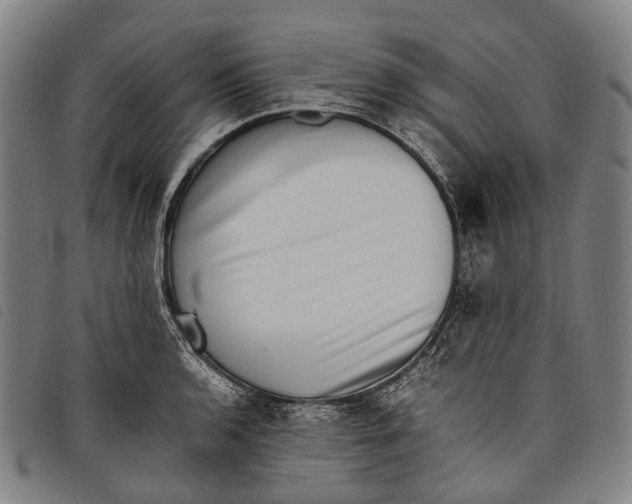 X0000097841136200804041437