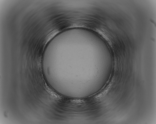 X0000097841137200804041437