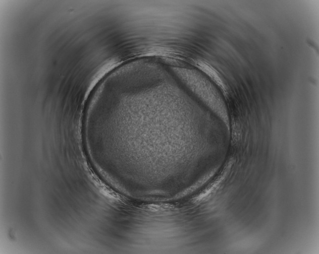 X0000097841138200804041437