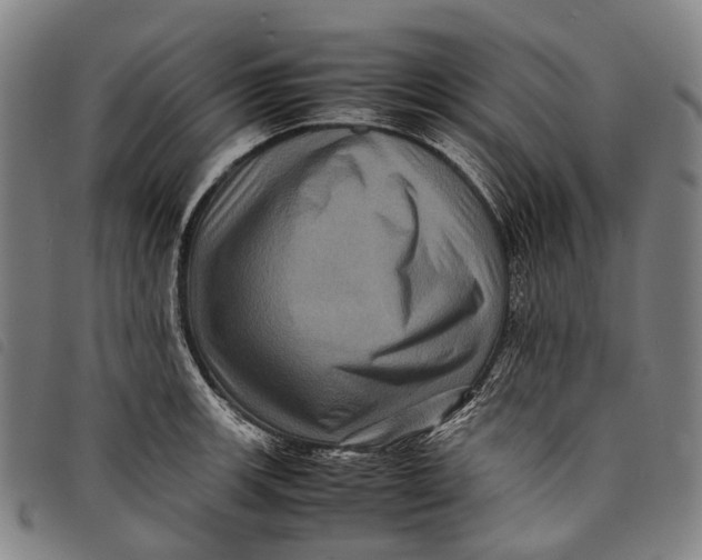 X0000097841139200804041437