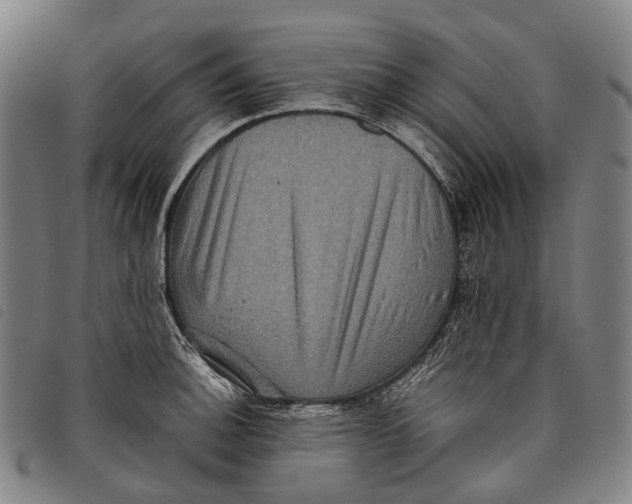 X0000097841140200804041437