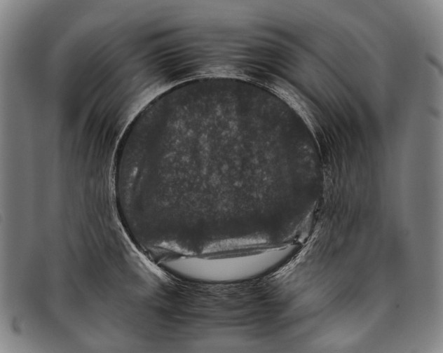 X0000097841141200804041437