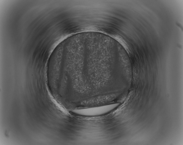 X0000097841142200804041437