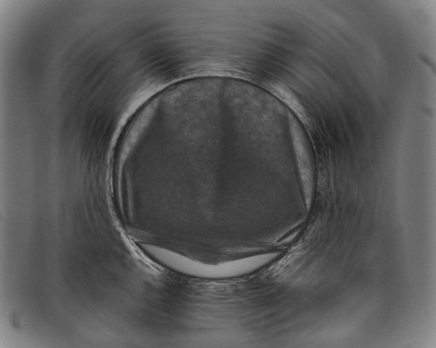 X0000097841144200804041437