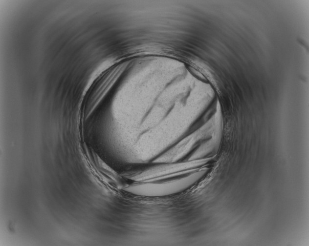 X0000097841146200804041437