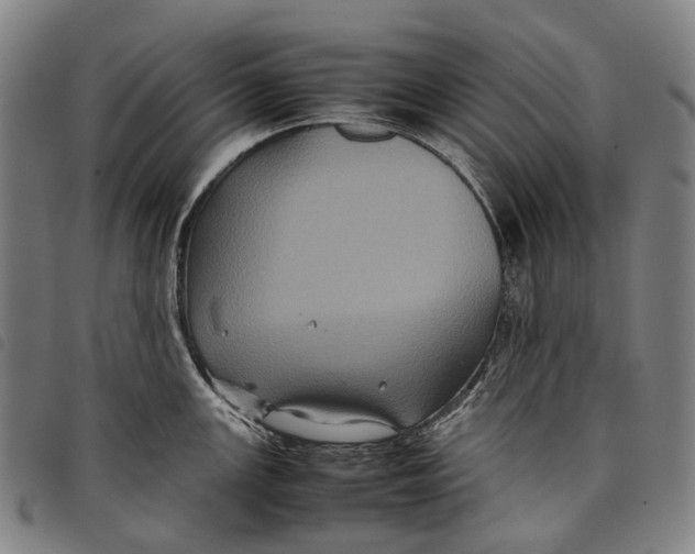 X0000097841147200804041437