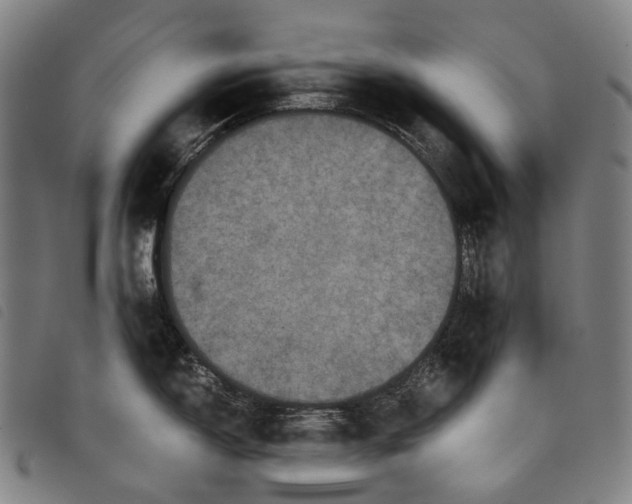 X0000097841150200804041438