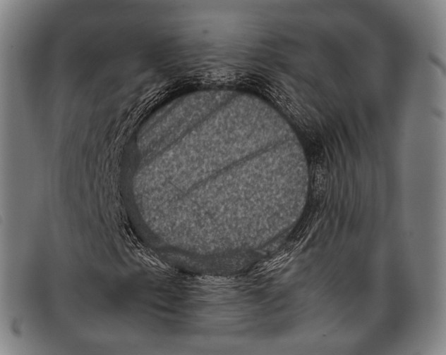 X0000097841153200804041437