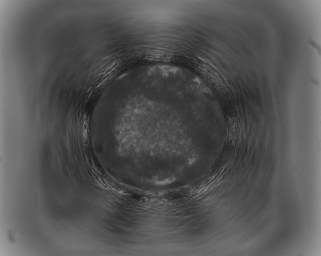 X0000097841154200804041437