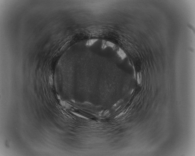 X0000097841155200804041437