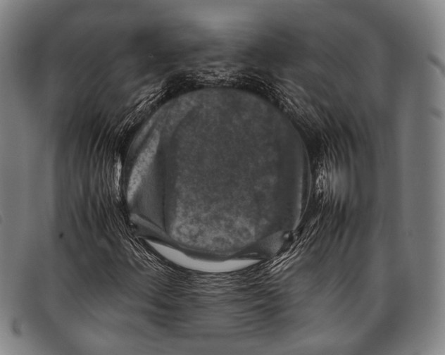 X0000097841156200804041437
