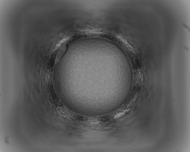 X0000097841157200804041437