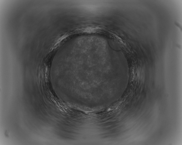 X0000097841158200804041437