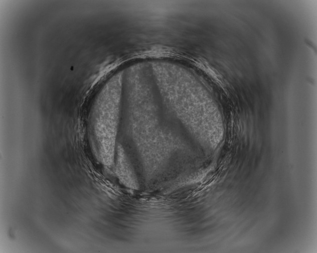 X0000097841160200804041437