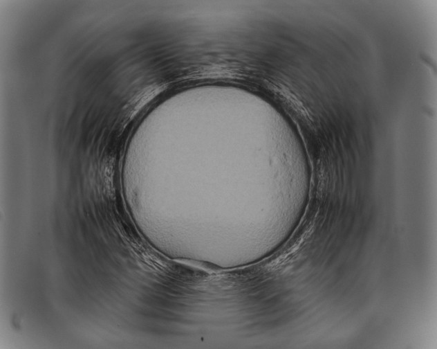 X0000097841162200804041437