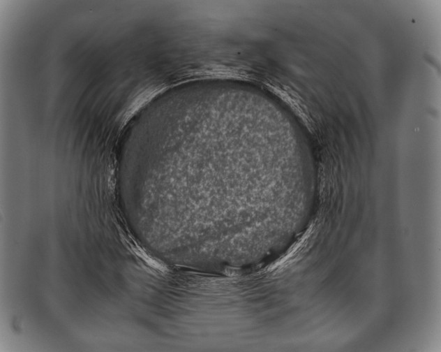 X0000097841163200804041437