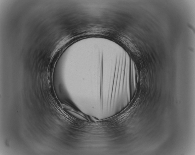 X0000097841164200804041437