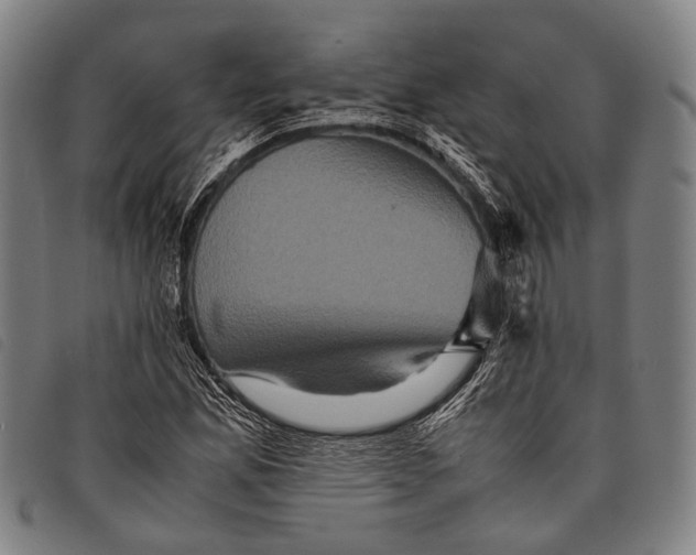 X0000097841165200804041437