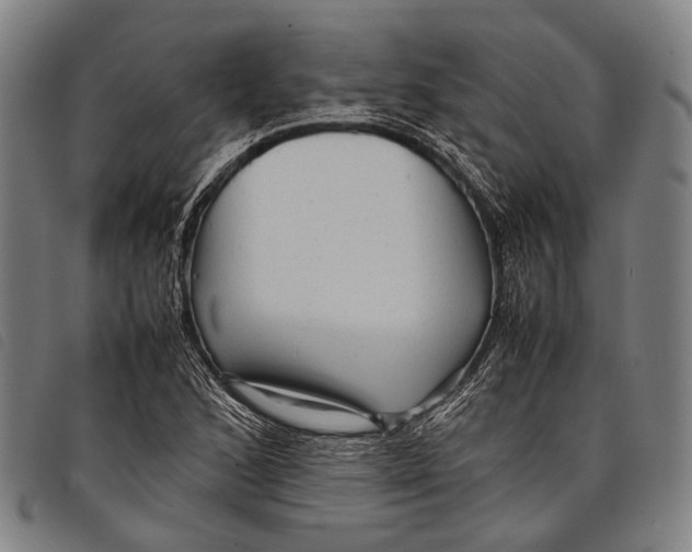 X0000097841168200804041437