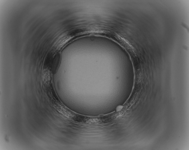 X0000097841169200804041437